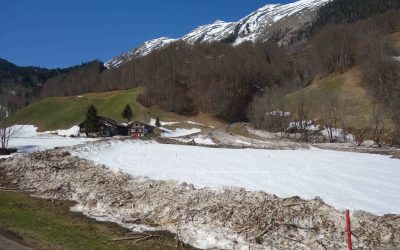 Avalanche as a geomorphic agent at Leue (municipality of Au)